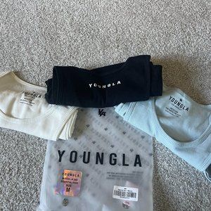YOUNGLA 340 WIFE LOVERS - 3 PACK Essential Pack